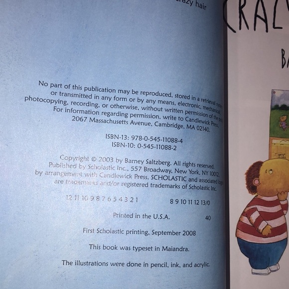 Crazy hair day children’s book - Picture 4 of 8